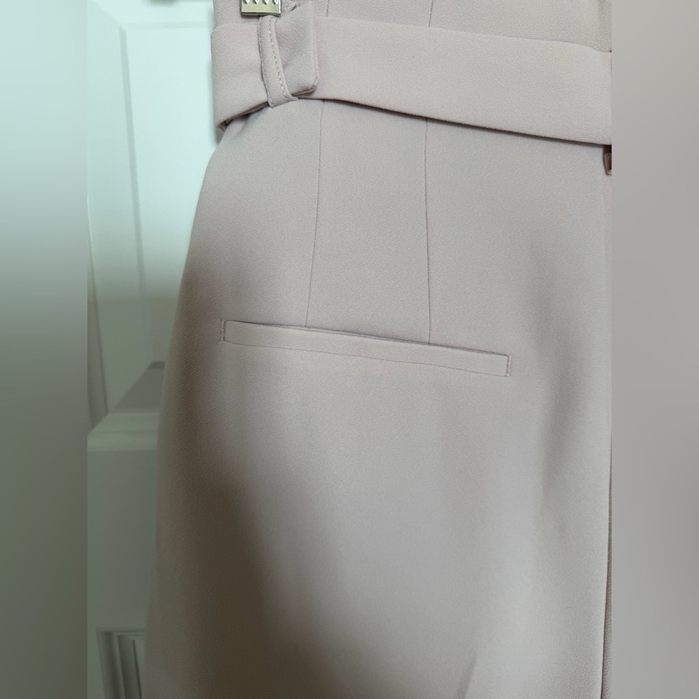 NWT Express High Rise Pleated Dress Shorts w/ Belt blush pink size 10 - Picture 16 of 16